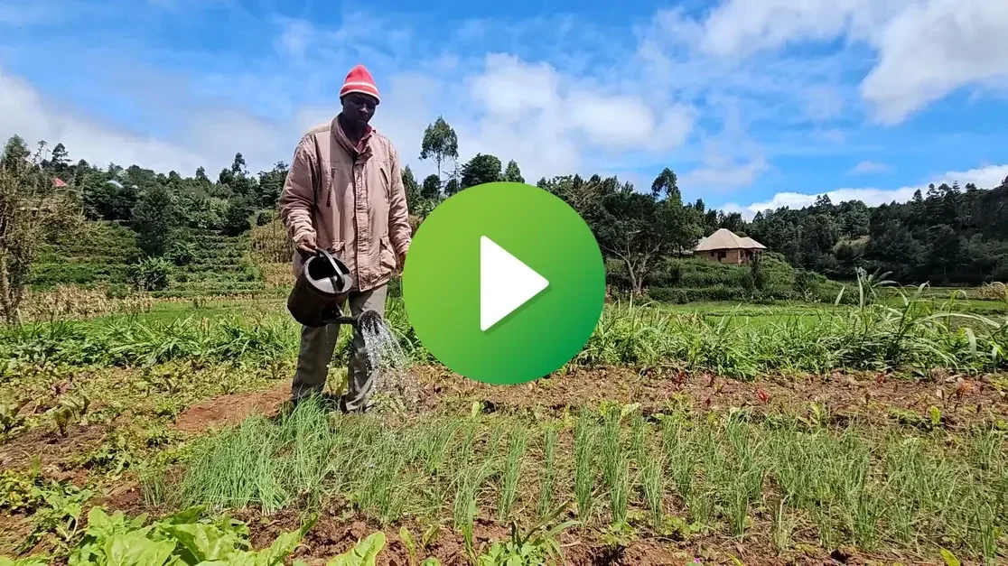 How GiftTrees Permagardens Help Farmers Grow Food Year Round